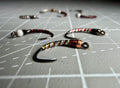 Chironomid