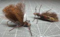 Salmonfly