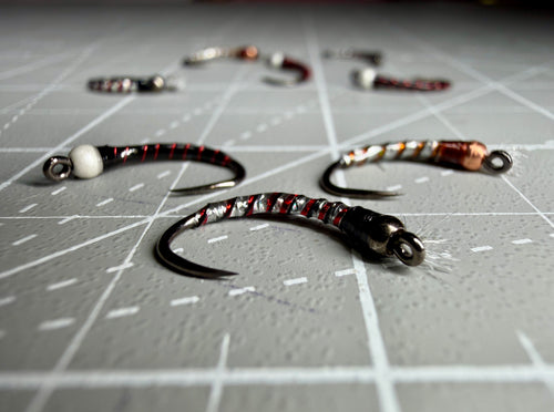 Chironomid