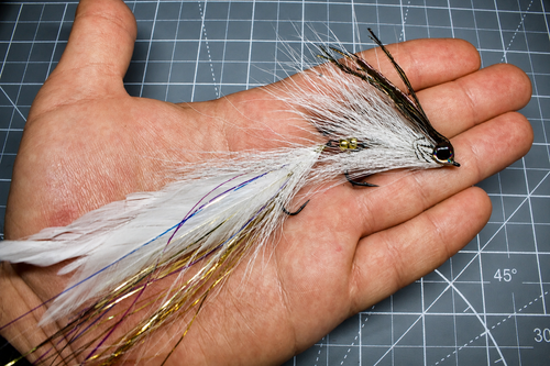Double Minnow