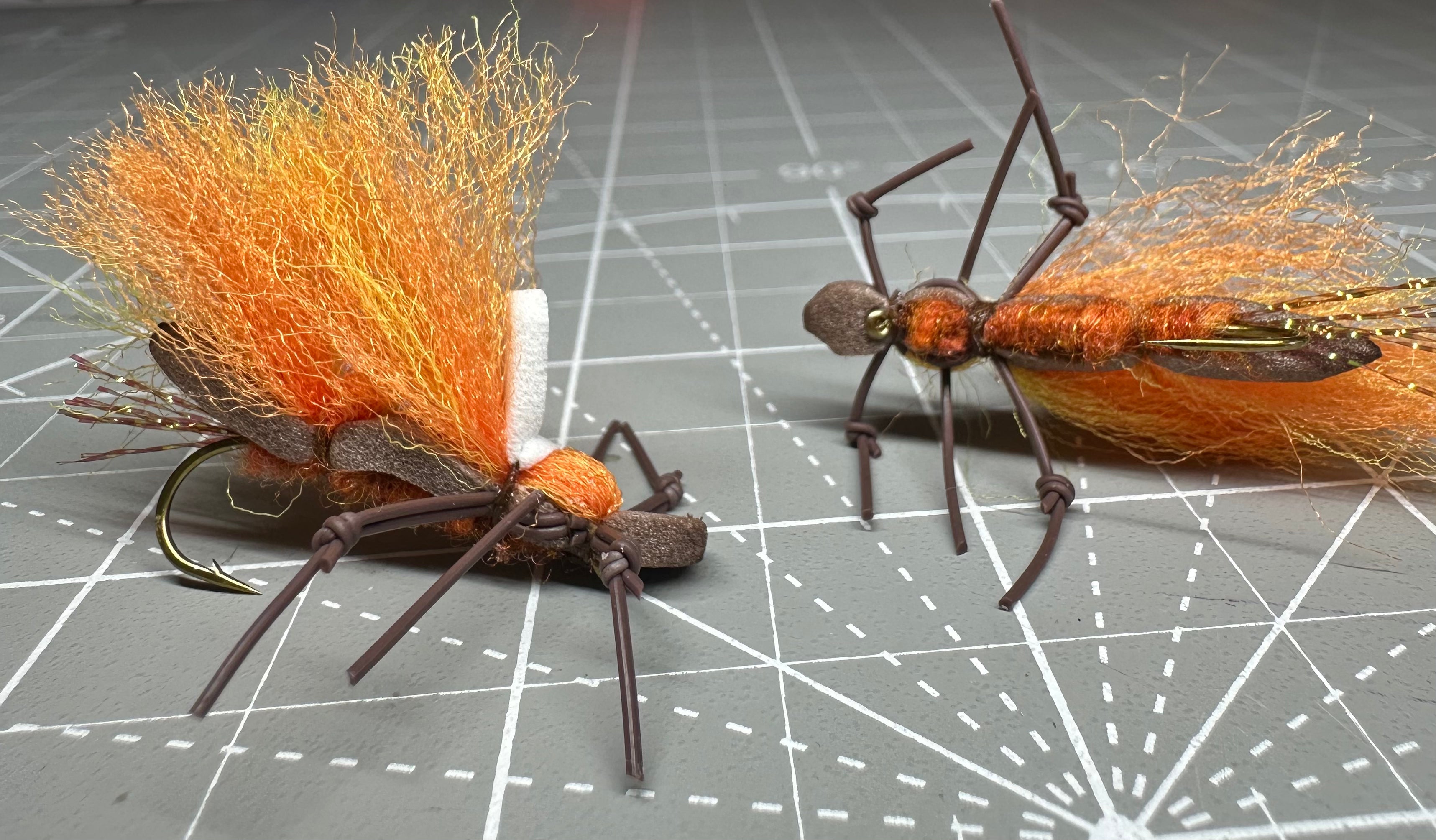 Salmonfly