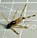 Golden Stone Nymph