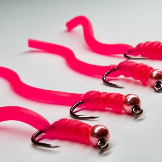Gummy Worm